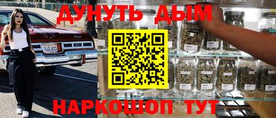 дживик Моздок
