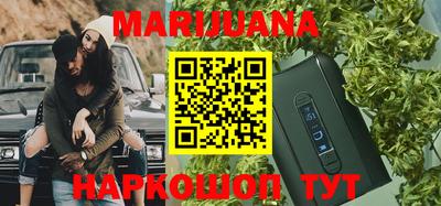 дживик Моздок