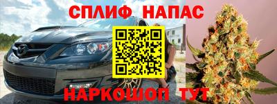 дживик Моздок