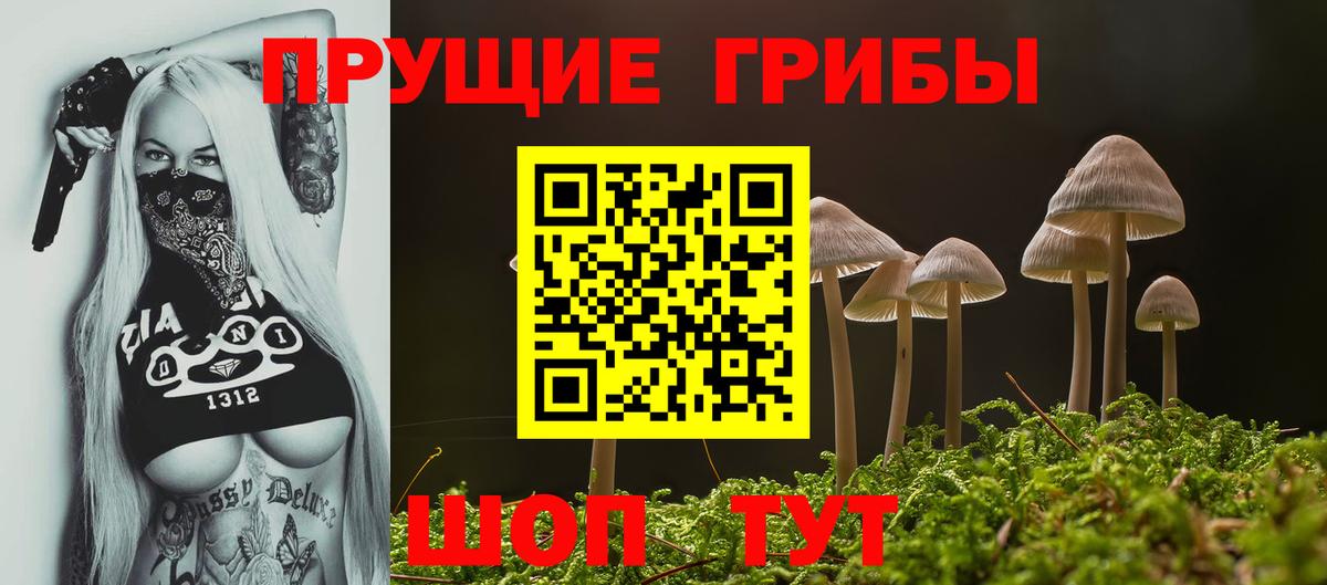 Ухта  Псилоцибиновые грибы ЛСД  Псилоцибиновые грибы прущие грибы  Вход с VPN 